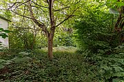 SO108429-1